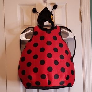 Lady Bug Costume